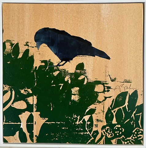 Raspberry Bush, Crow