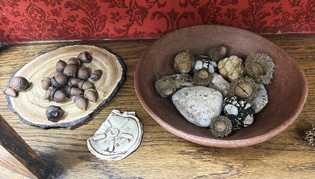 Wonder Cabinet 1, detail with handmade bowl, sculpted and found acorns, sculpted cup lid, found concrete