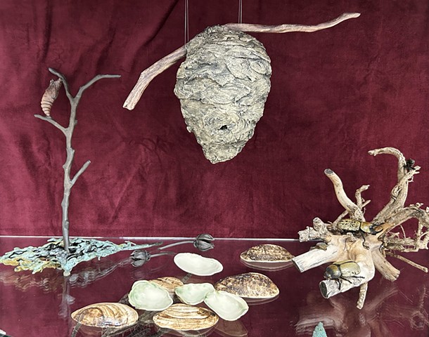 Wonder Cabinet 2, detail shelf with sculpted wasp nest, shells, seed pods, branches and chrysalis, and found branch with found beetles