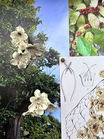 What We Gathered (Garfield Park), detail with catalpa flowers