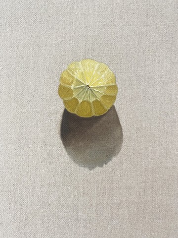 A Relationship With The Sun(Peeled Lemon)