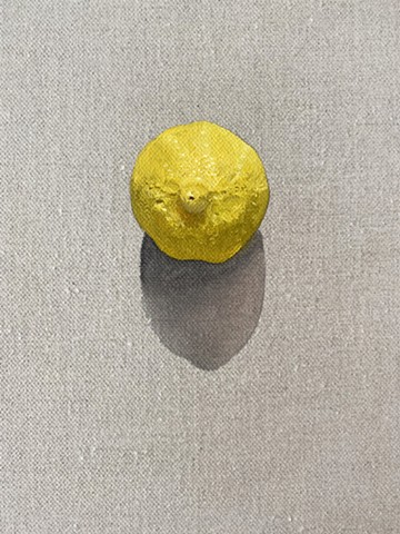 A Relationship With The Sun(Lemon)