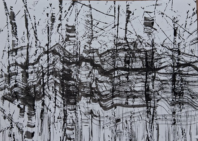 birdsong in the forest 1