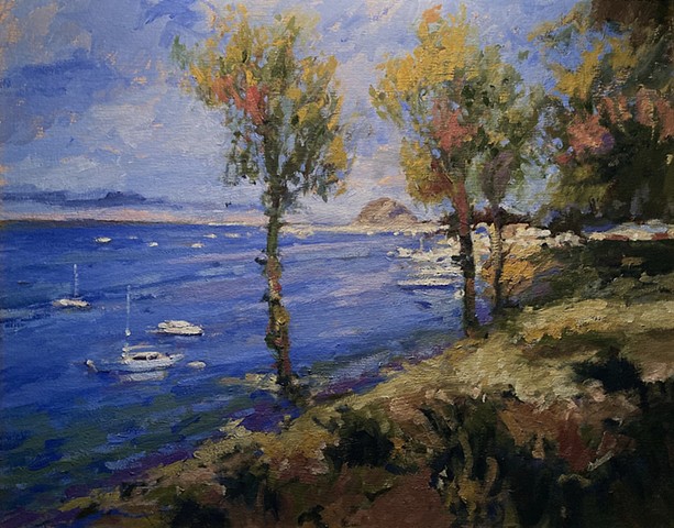 Afternoon in Morro Bay