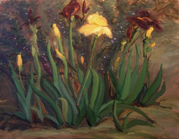 Yellow and purple iris with rosemary blooms