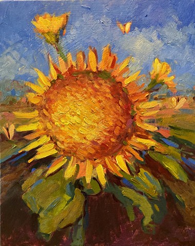 Sunflower, sunflowers 