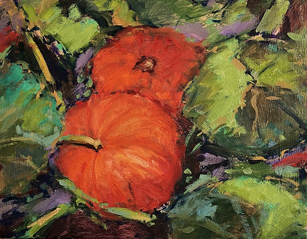 Two pumpkins in the patch