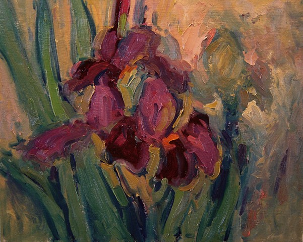 iris, flowers, paintings of flowers