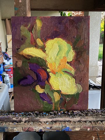 Yellow and purple iris oil sketch