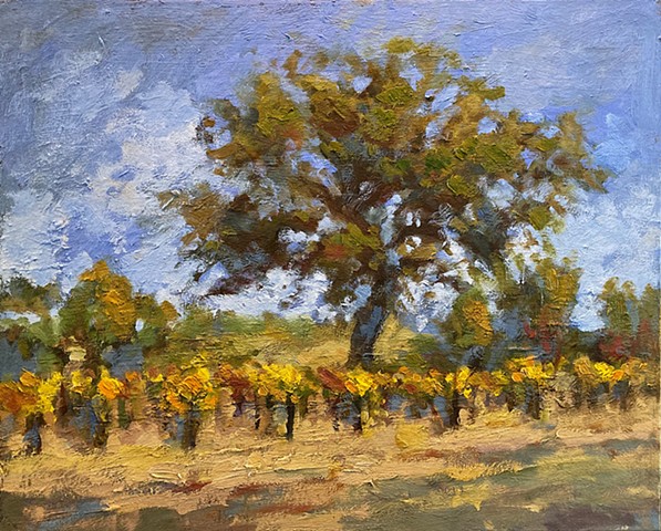 Peachy Canyon vineyards