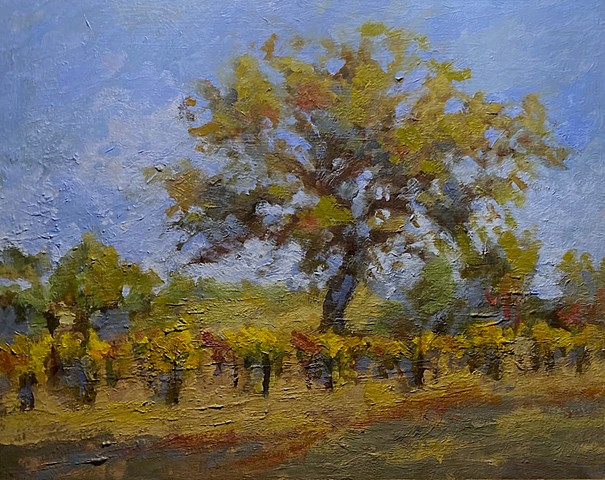 Peachy Canyon vineyards