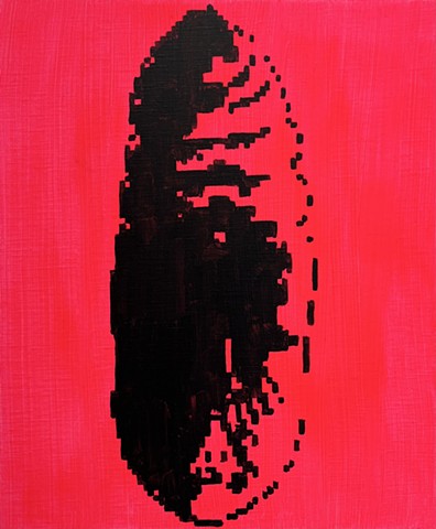 蛾のさなぎ Moth cocoon