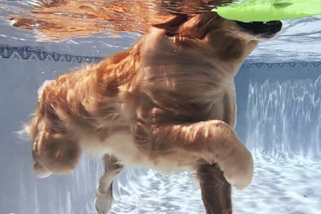 Videos (2009-23)