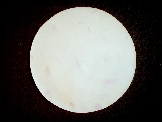 Untitled (Circle)