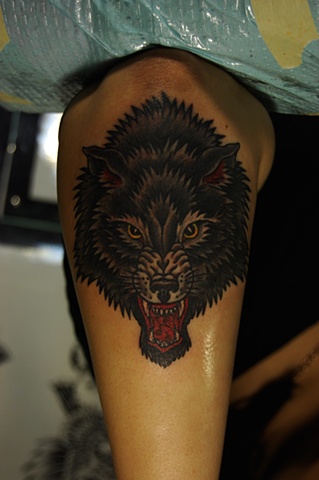 wolf