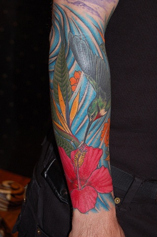 hummingb#1
