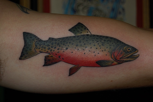 trout