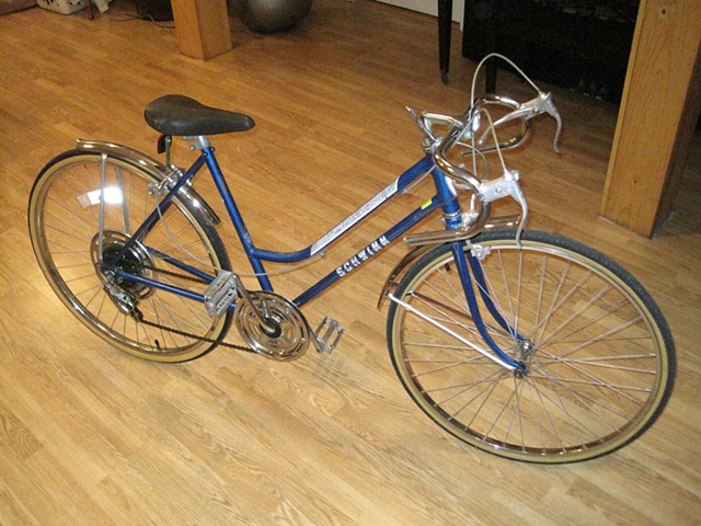 schwinn collegiate sport