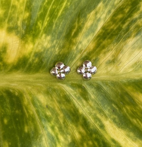 forget me not studs, silver