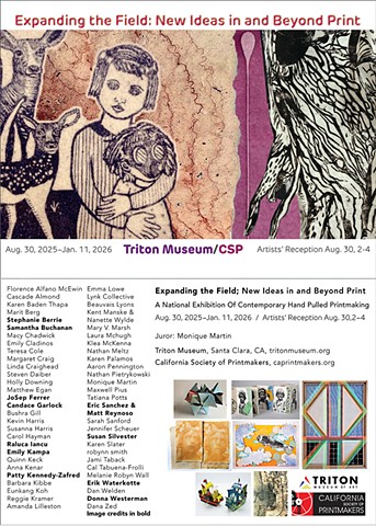 Expanding the Field at Triton Museum of Art