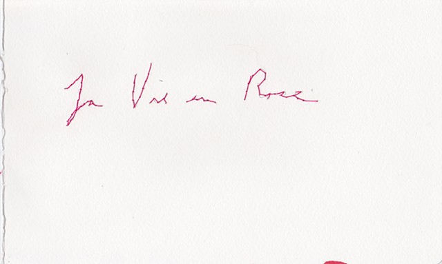 La Vie en Rose, 2012. Embroidery on paper, 5"x8".