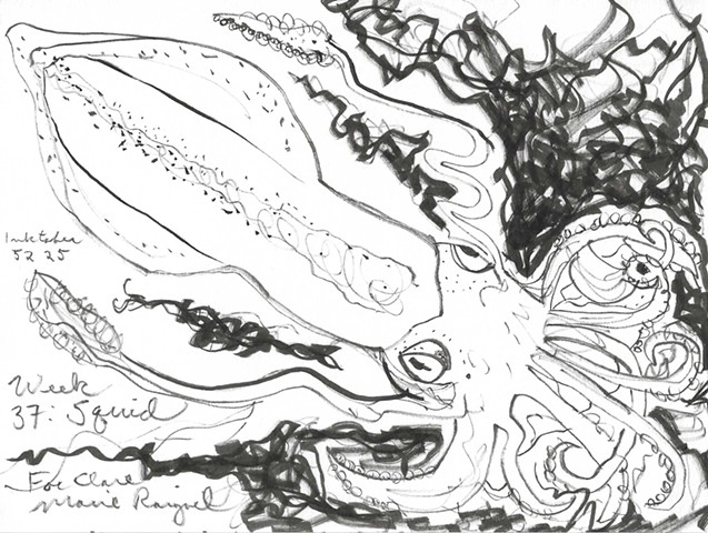 Inktober Week 37: Squid