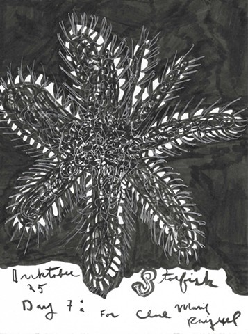 Inktober Day 7: Starfish