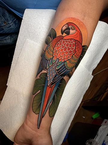 scarlet macaw parrot tattoo by tattoo artist dave wah at stay humble tattoo company in baltimore maryland the best tattoo shop in baltimore maryland