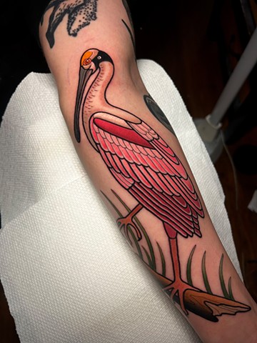 roseate spoonbill tattoo by dave wah