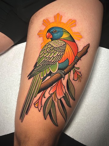 rainbow lorikeet tattoo by dave wah
