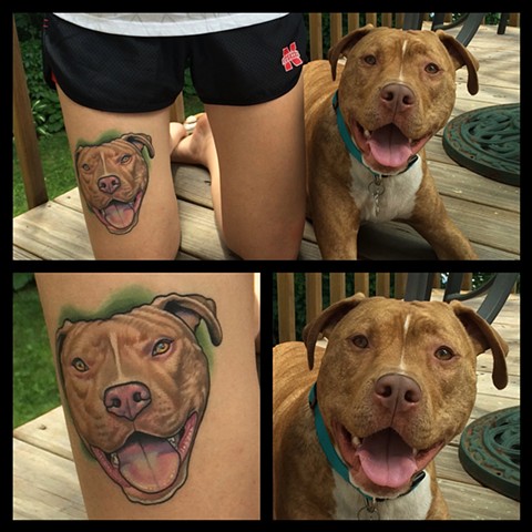 pit bull tattoo by dave wah at stay humble tattoo company in baltimore maryland the best tattoo shop in baltimore maryland