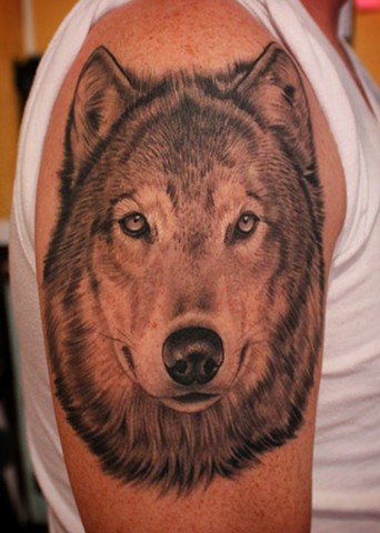 wolf tattoo by dave wah at stay humble tattoo company in baltimore maryland the best tattoo shop in baltimore maryland