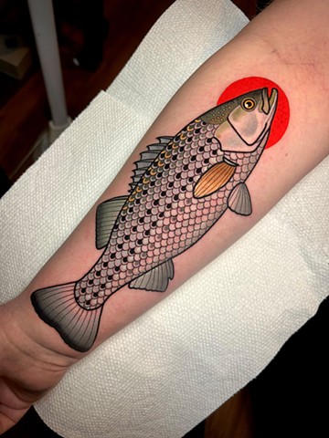 rockfish (striped bass) tattoo by dave wah