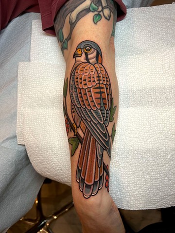 american kestrel tattoo by dave wah