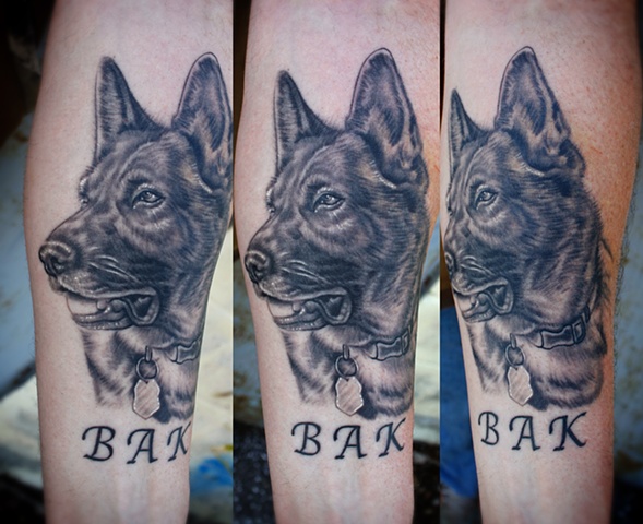 black and grey german shephard tattoo by dave wah
