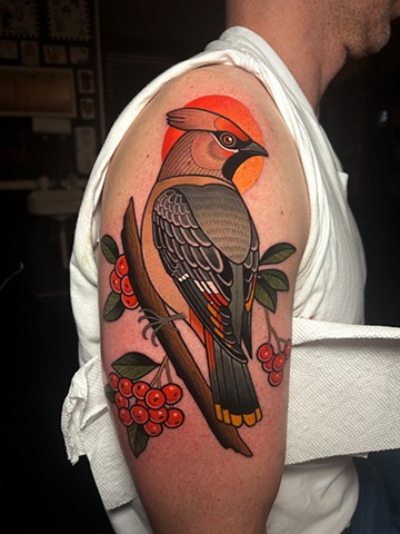 bohemian waxwing tattoo by dave wah