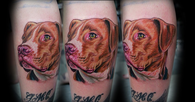 Pit bull tattoo by Dave Wah