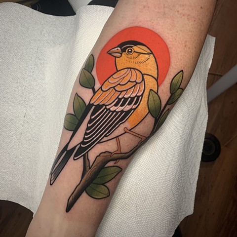 American goldfinch tattoo by tattoo artist dave wah at stay humble tattoo company in baltimore maryland the best tattoo shop in baltimore maryland