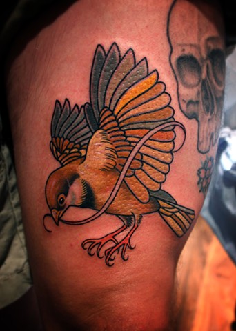 bird tattoo by dave wah at stay humble tattoo company in baltimore