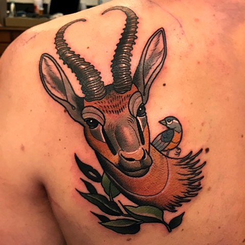antelope tattoo by tattoo artist dave wah at stay humble tattoo company in baltimore maryland the best tattoo shop in baltimore maryland