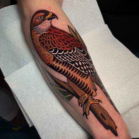 RED SHOULDERED HAWK TATTOO BY DAVE WAH