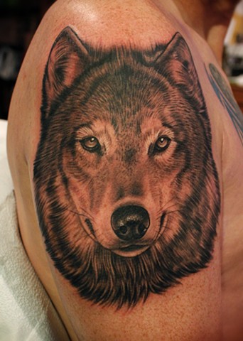 wolf tattoo by dave wah at stay humble tattoo company in baltimore maryland