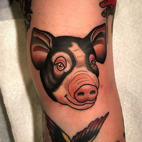 pig tattoo by dave wah at stay humble tattoo company in baltimore maryland the best tattoo shop and artist in baltimore maryland