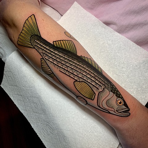 smallmouth bass tattoo by tattoo artist dave wah at stay humble tattoo company in baltimore maryland the best tattoo shop in baltimore maryland