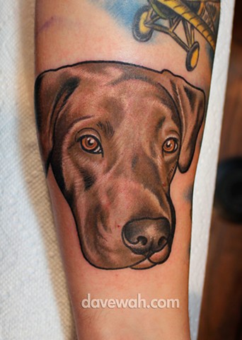 Dog portrait tattoo by dave wah at stay humble tattoo company in baltimore maryland