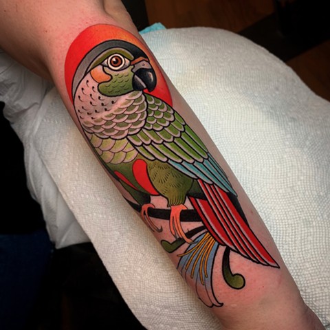 PARROT TATTOO BY DAVE WAH