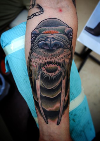walrus tattoo by dave wah