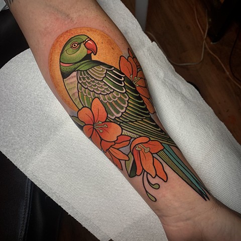 indian ring necked parrot tattoo by tattoo artist dave wah at stay humble tattoo company in baltimore maryland the best tattoo shop in baltimore maryland