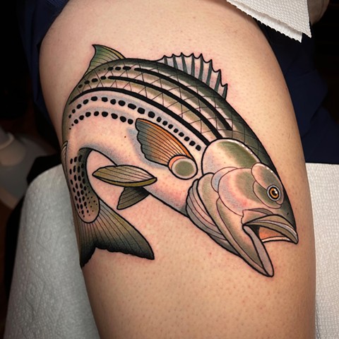 rockfish (striped bass) tattoo by dave wah
