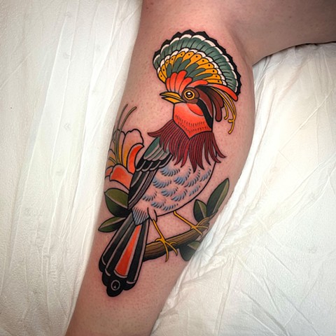 tropical bird tattoo by tattoo artist dave wah at stay humble tattoo company in baltimore maryland the best tattoo shop in baltimore maryland